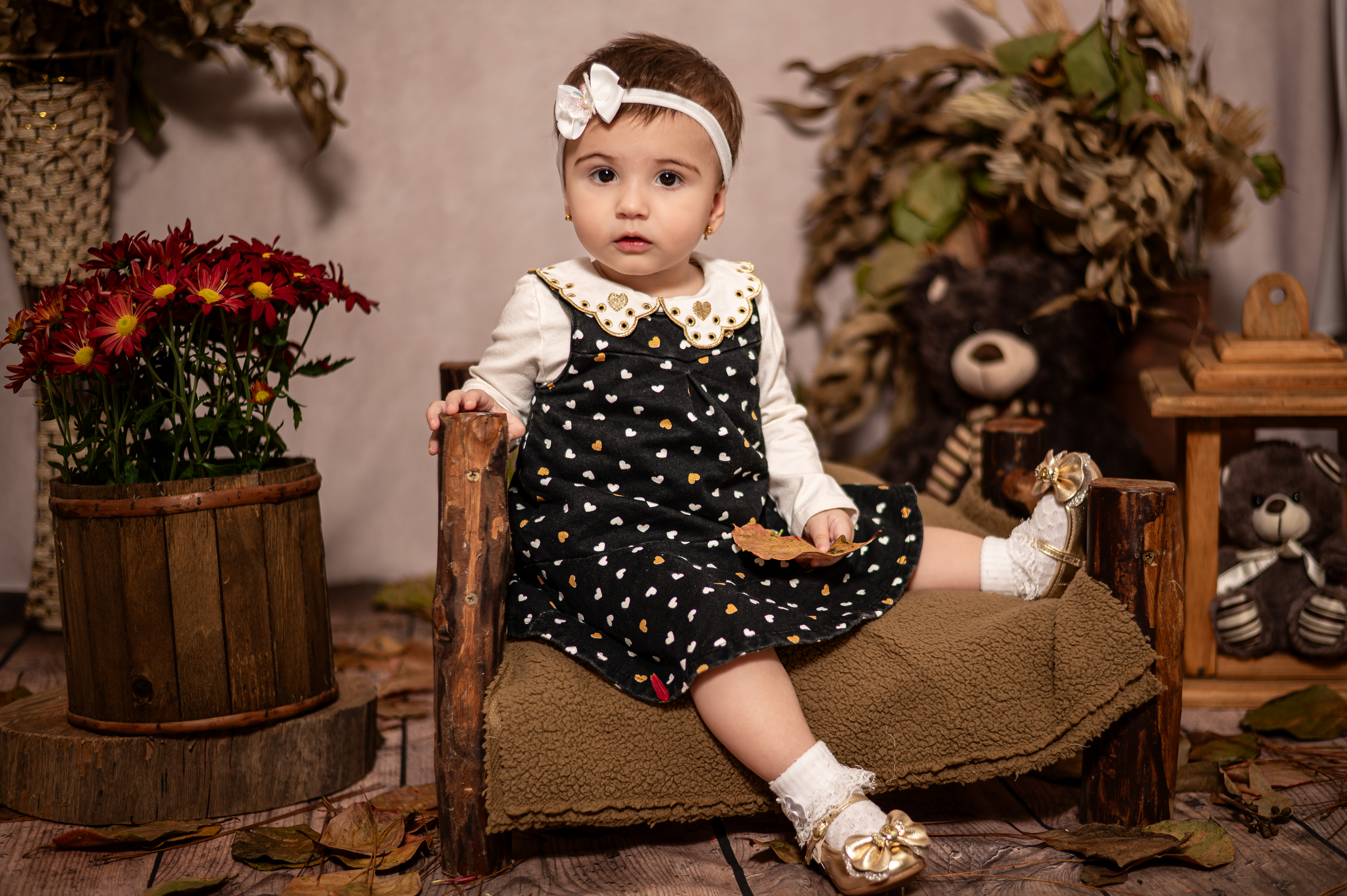 Rosilene Muller Fotografias