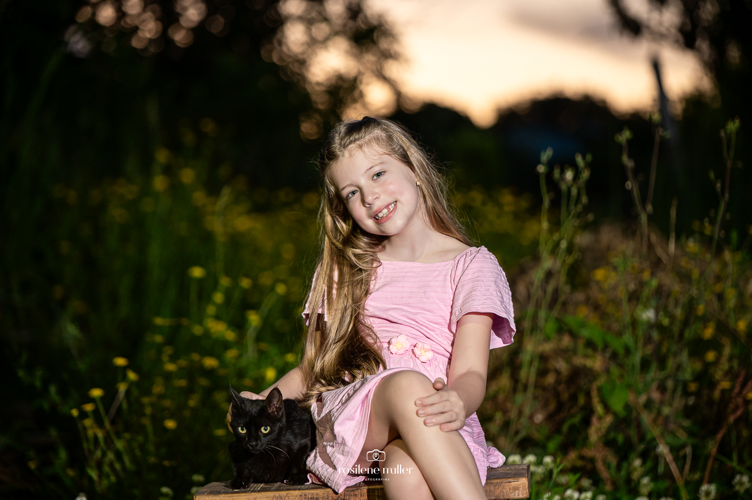 Rosilene Muller Fotografias
